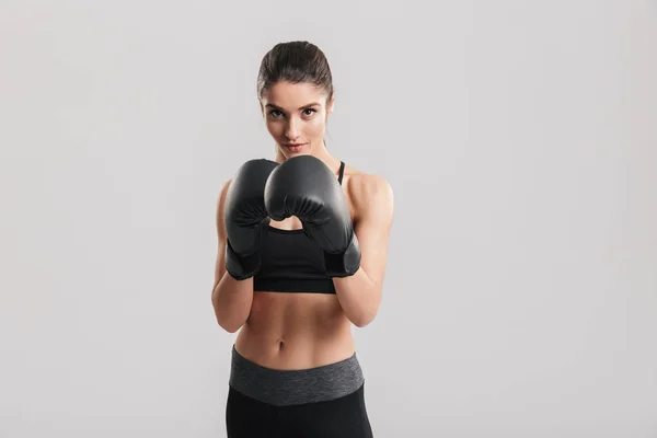 Concentrato bruna sportiva formazione in guanti da boxe whil — Foto Stock