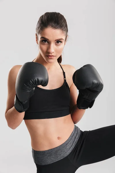 Concentrada morena deportista entrenando en guantes de boxeo mientras — Foto de Stock