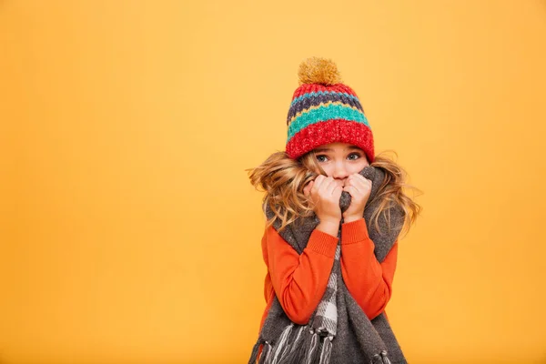 Chica joven en suéter, bufanda y sombrero que tiene frío —  Fotos de Stock