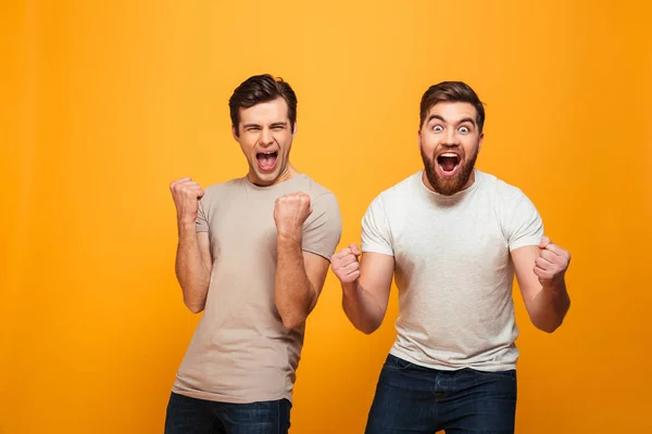 Portret van een twee tevreden jonge mannen vieren — Stockfoto