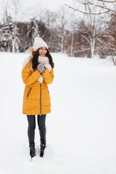 Ολόσωμο στιγμιότυπο από νεαρή κοπέλα ποζάρει στο πάρκο χιονιού και ψάχνει στην άκρη — Φωτογραφία Αρχείου
