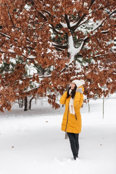 Mulher bonita olhando para cima enquanto posando perto de árvore bonita no parque de neve — Fotografia de Stock