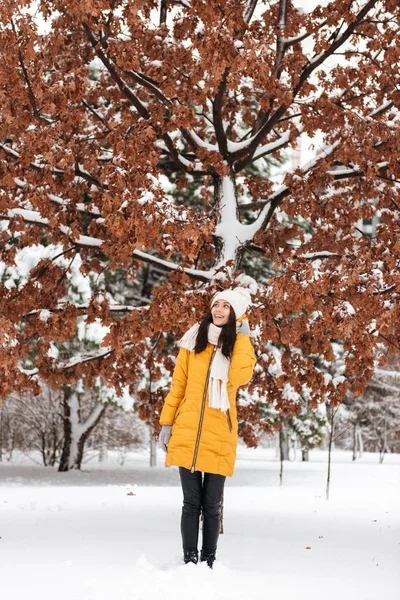 Красивая молодая женщина смотрит вверх, позируя возле красивого дерева в снежном парке — стоковое фото