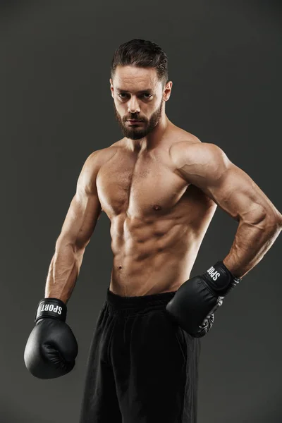 Retrato de un boxeador muscular en forma con guantes de boxeo — Foto de Stock