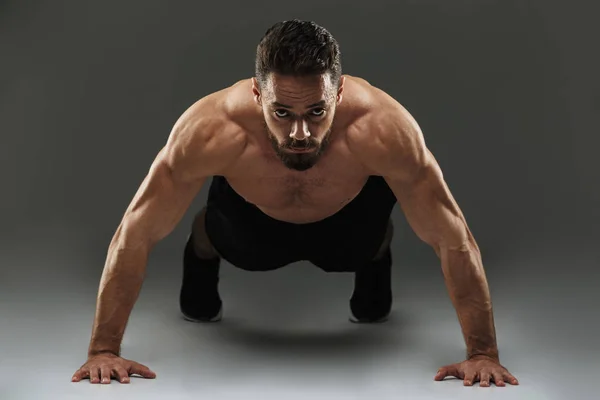 Retrato de um desportista muscular concentrado — Fotografia de Stock