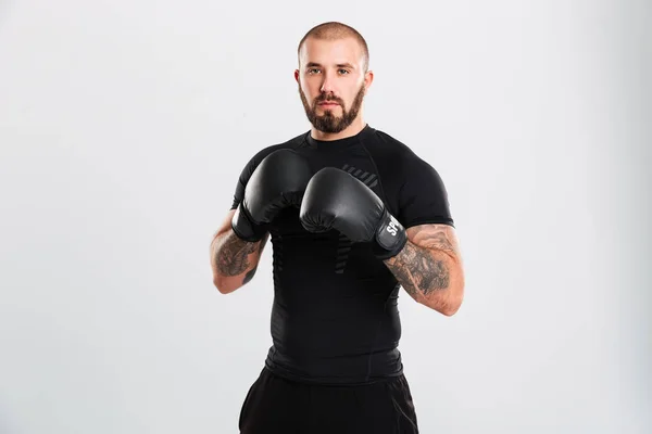 Portret van wilskrachtige sportman in bokshandschoenen op zoek op — Stockfoto