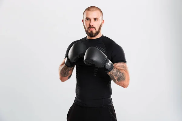 Retrato de desportista de força de vontade em luvas de boxe olhando — Fotografia de Stock