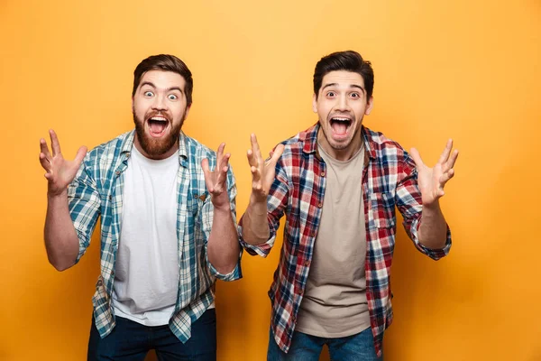 Porträt zweier glücklicher junger Männer, die Erfolg feiern — Stockfoto