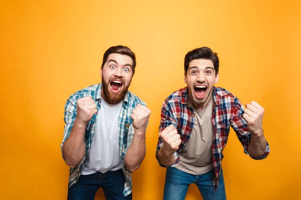 Portret van een twee gelukkige jonge mannen vieren — Stockfoto