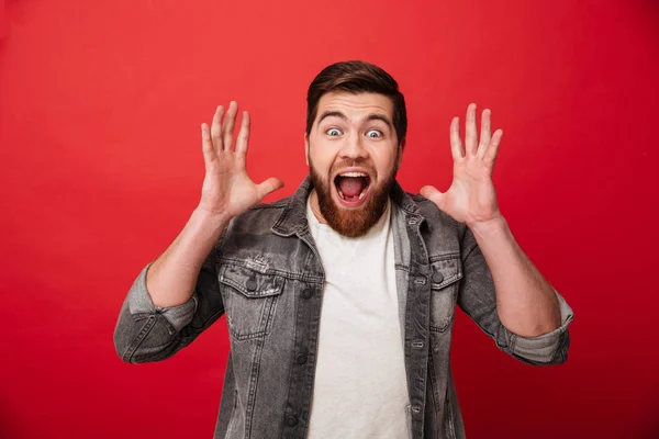 Photo of happy ecstatic guy 30s wearing beard in jeans jacket sc — Stock Photo, Image