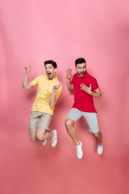 Bir eşcinsel erkek çift tam uzunlukta portresi