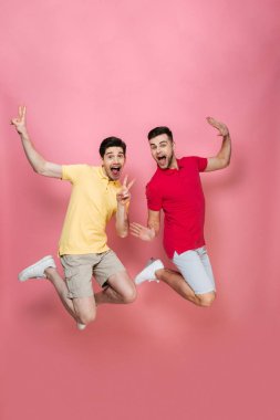 Gülümseyen bir gay erkek çift tam uzunlukta portresi