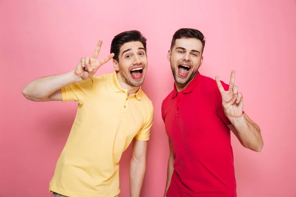Retrato de um alegre casal gay — Fotografia de Stock