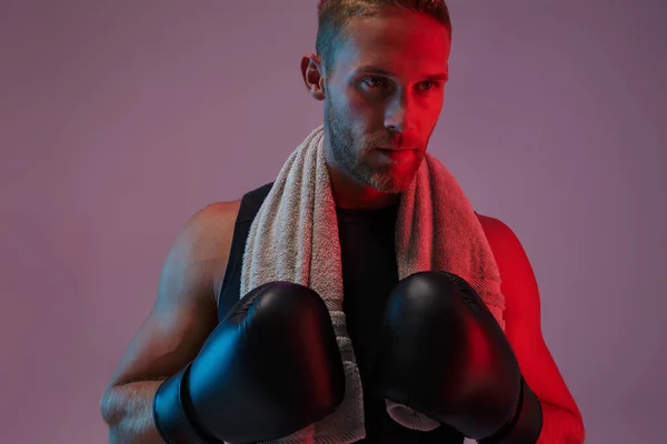 Portrét pohledného svalnatého boxera stojícího — Stock fotografie