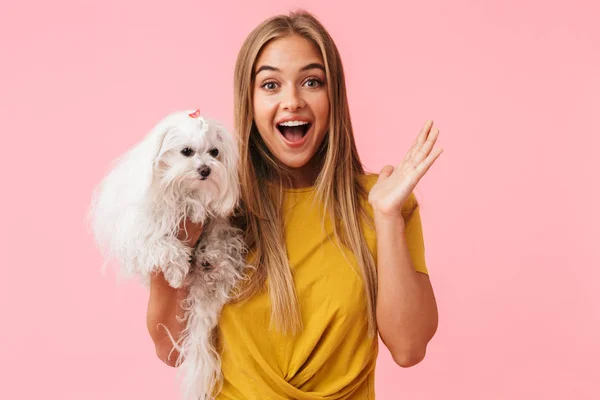 Schöne schöne Mädchen hält ihr Haustier Schoßhund — Stockfoto
