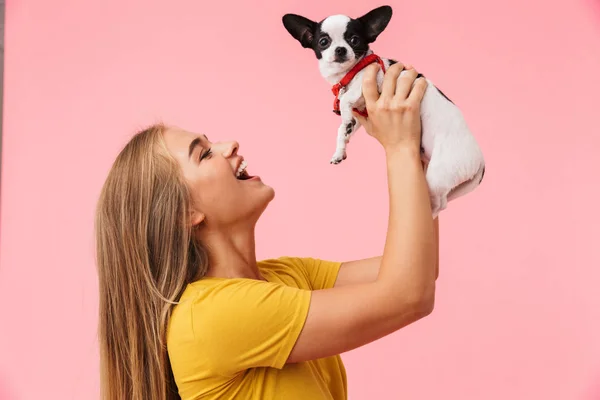 Carino bella ragazza giocare con il suo animale domestico chihuahua — Foto Stock