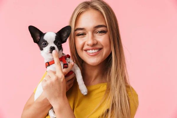 Carino bella ragazza giocare con il suo animale domestico chihuahua — Foto Stock