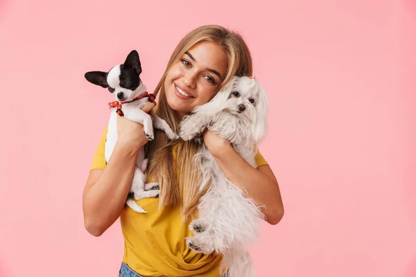 Carino bella ragazza giocare con il suo animale domestico chihuahua — Foto Stock