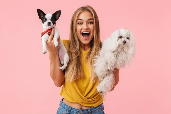 Schattig mooi meisje spelen met haar huisdier chihuahua — Stockfoto