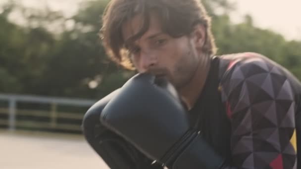 Homme Confiant Concentré Dans Exercice Boxe Entraînement Survêtement Caméra Aire — Video