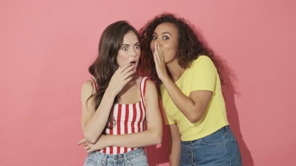 Deux Mystérieuses Jolies Filles Amies Ayant Secret Chuchotant Entre Elles — Video