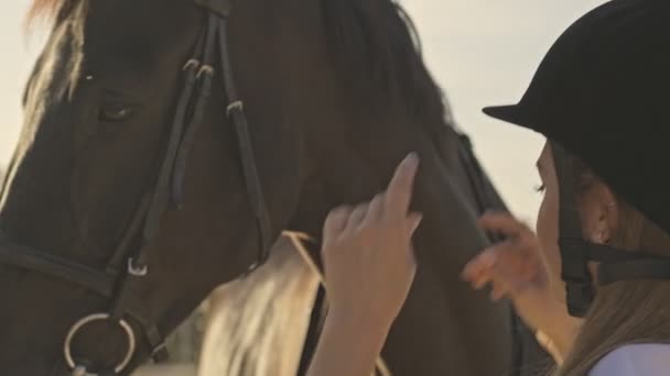 Une Jolie Adolescente Jockey Est Debout Côté Cheval Brun Espace — Video