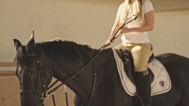 Corte Vista Jovem Loira Menina Livrando Cavalo Coberto Estável — Vídeo de Stock