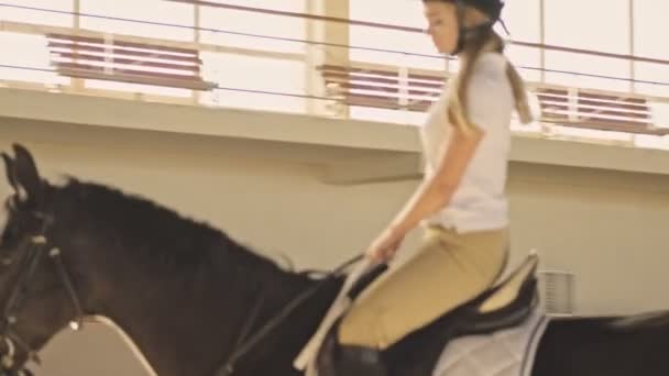 Uma Jovem Loira Focada Atraente Está Livrando Cavalo Estábulo Coberto — Vídeo de Stock