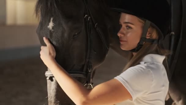 Menina Agradável Está Acariciando Uma Cabeça Cavalo Marrom Enquanto Está — Vídeo de Stock