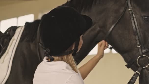 Задний Вид Молодой Девушки Гладит Коричневую Лошадь Стоя Рядом Ней — стоковое видео