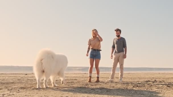 Ένα Χαρούμενο Ευτυχισμένο Ζευγάρι Άντρας Και Γυναίκα Περπατούν Ένα Σκύλο — Αρχείο Βίντεο