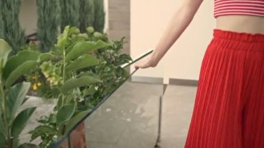 Güneş gözlüklü güzel bir kadının kırpılmış manzarası yazın bahçede yürüyor.