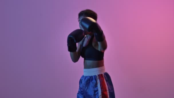 Concentrated African Sports Woman Boxer Training Boxing Gloves While Looking — Stock Video