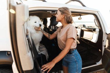 Sahil kenarında köpekleri gezen mutlu, genç ve harika bir çiftin resmi..