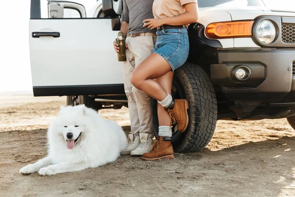 Καλλιεργημένη Φωτογραφία Του Νεαρού Ζευγαριού Αγάπης Σκυλί Samoyed Εξωτερικούς Χώρους — Φωτογραφία Αρχείου