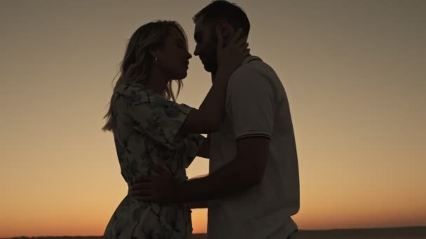 Une Vue Sur Silhouette Jeune Beau Couple Serre Dans Ses — Video
