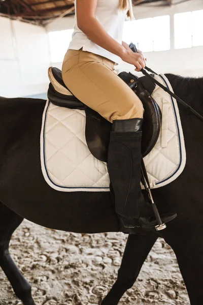 Foto Cortada Caucasiano Jovem Bela Mulher Com Cavalo Campo — Fotografia de Stock