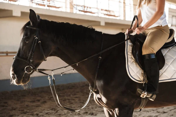 Foto Recortada Caucásico Joven Hermosa Mujer Con Caballo Campo — Foto de Stock