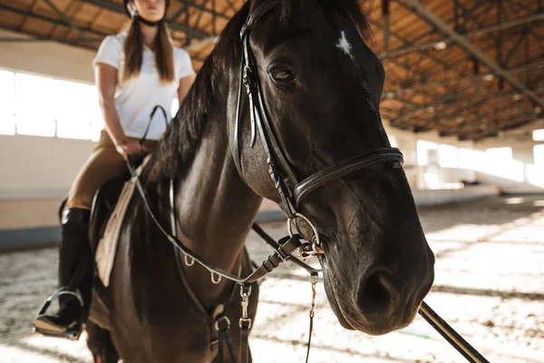 Foto Cortada Caucasiano Jovem Bela Mulher Com Cavalo Campo — Fotografia de Stock