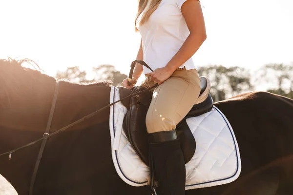 Cropped Photo Caucasian Young Beautiful Woman Horse Countryside Outdoors — Stock Photo, Image