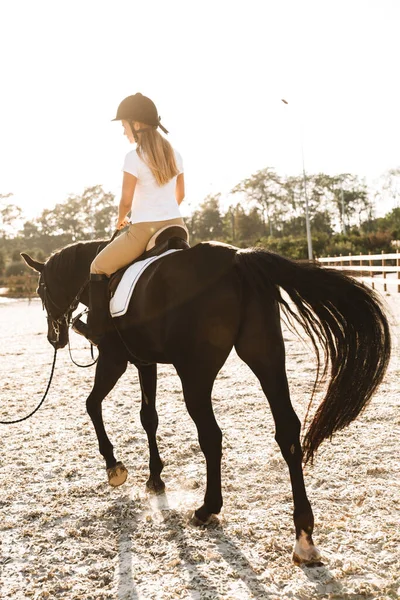 Imagem Branco Jovem Loira Linda Mulher Usando Chapéu Com Cavalo — Fotografia de Stock