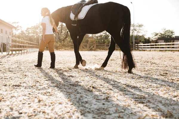 Voltar Ver Foto Jovem Loira Bela Mulher Com Cavalo Campo — Fotografia de Stock