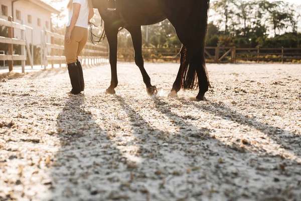 Foto Ritagliata Giovane Donna Caucasica Bella Con Cavallo Campagna — Foto Stock