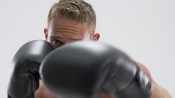 Focused Young Fit Sportsman Doing Boxing Exercises Isolated White Background — Stock Video