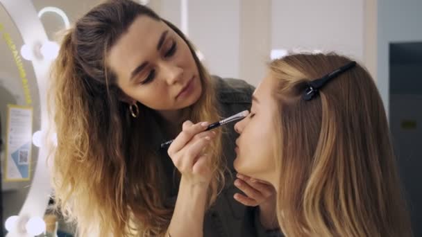 Una Vista Laterale Truccatore Professionista Che Applica Trucco Alla Donna — Video Stock