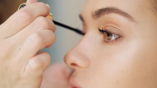 Uma Visão Perto Dos Olhos Mulher Enquanto Artista Maquiagem Profissional — Vídeo de Stock