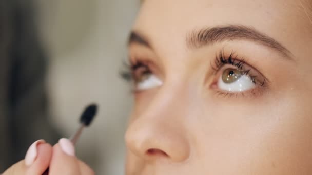 Närbild Kvinnans Ögon Medan Hand Makeup Artist Applicerar Mascara Hennes — Stockvideo