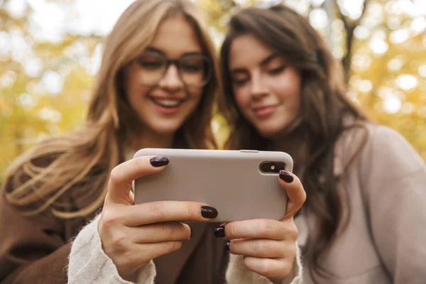 2人の陽気な若いかわいい女の子がコートを着て一緒に秋の森を歩いて 携帯電話を見て — ストック写真