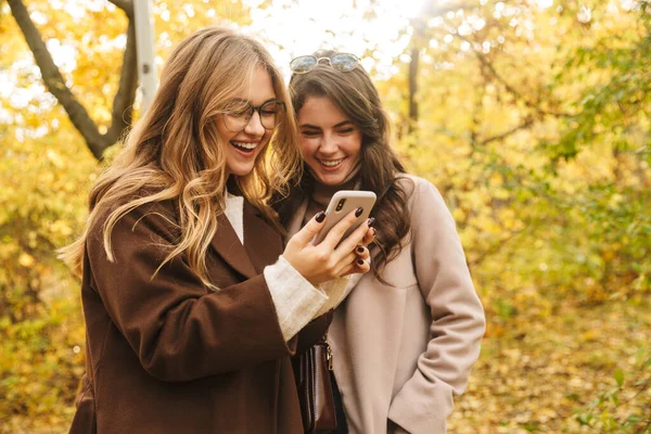 两个身穿外套的年轻貌美的姑娘一起走在秋天的森林里 看着手机 — 图库照片