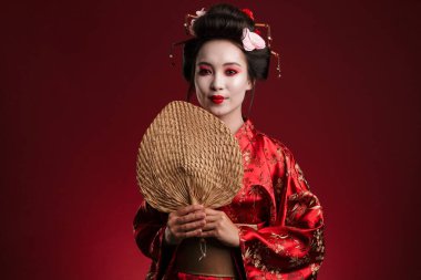 Geleneksel Japon kimonosu giymiş genç bir geyşa resmi. Kırmızı arka planda izole edilmiş ahşap el yelpaze tutuyor.